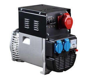 Three-Phase Equal Power Brush Brushless Alternator High Output Alternator AC